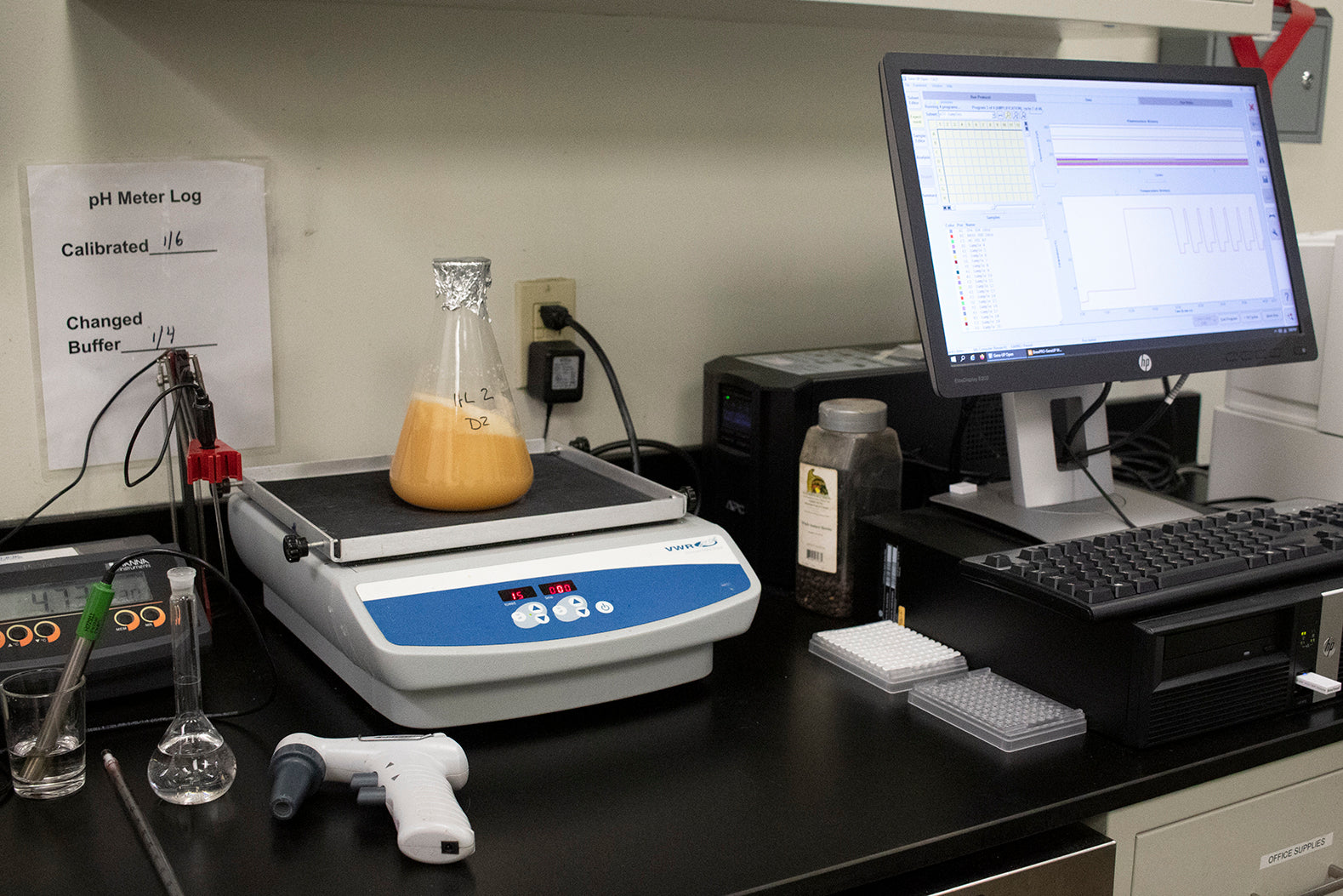 Behind the Taproom at Jack's Abby