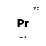 Protein
