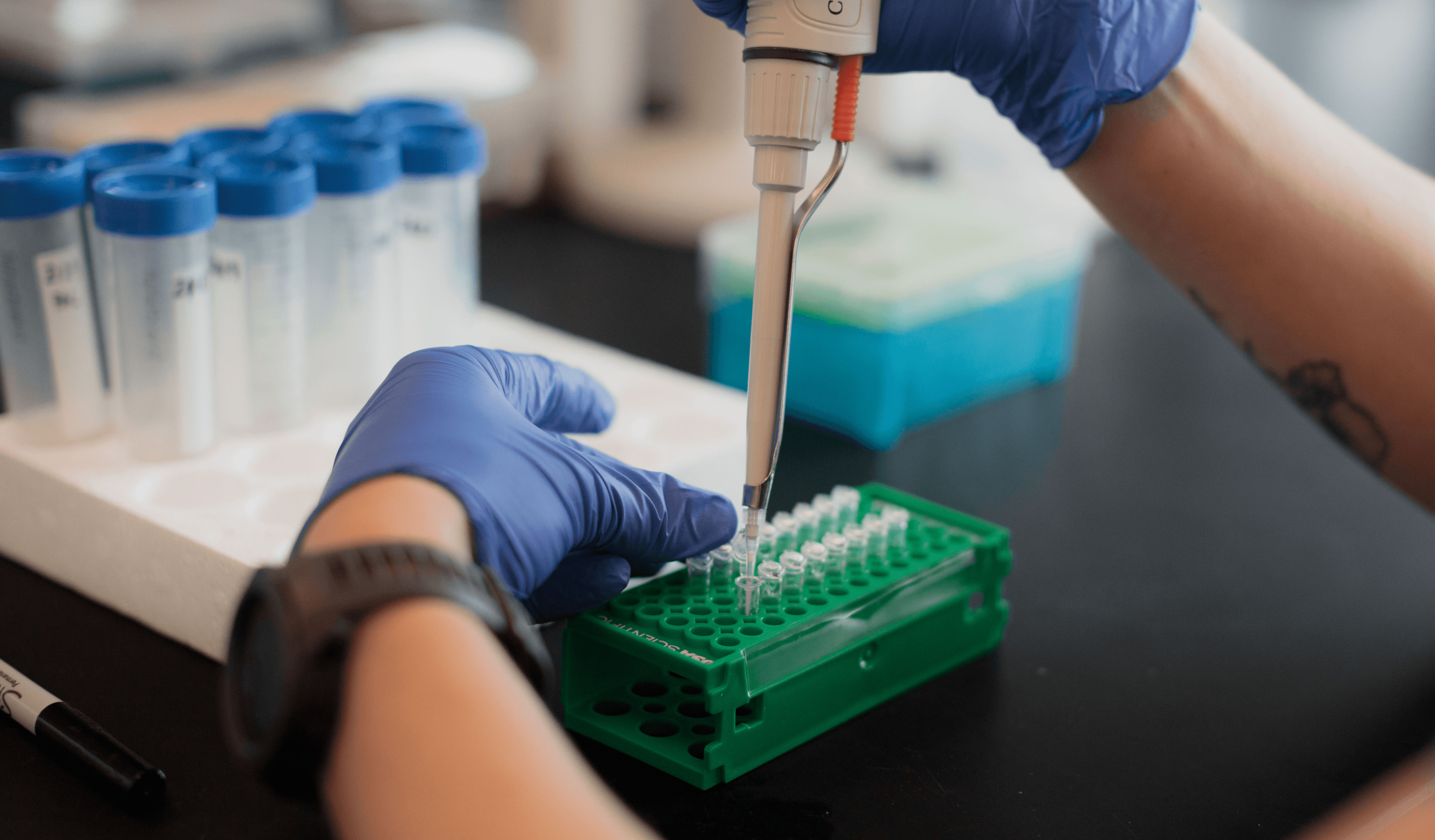 Micro centrifuge tubes in a green rack. One tube is being mixed by pipetting. In the background, 50 mL conical tubes and a pipette tip box are on the bench top