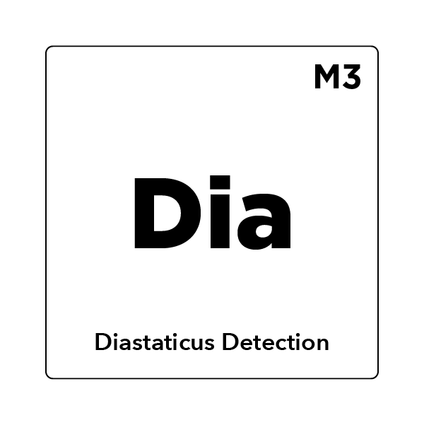 Diastaticus Detection by PCR